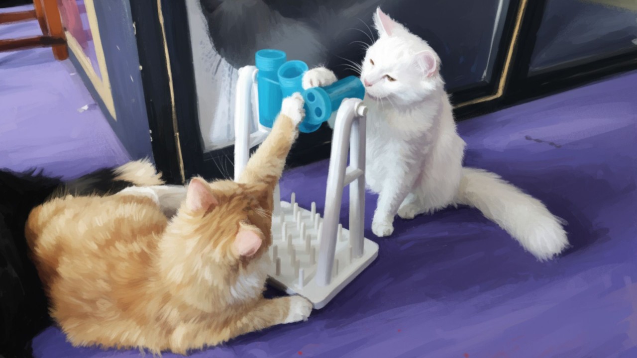 Kaksi kissaa leikkii